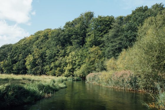 Swedish river views from a canoe