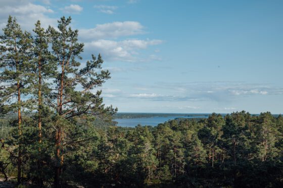 Scenic view from Sörknatten with forested cliffs overlooking calm lakes in Dalsland, Sweden