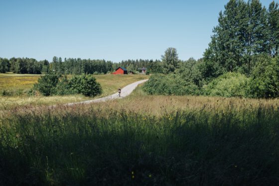 Farawayistan gravel cycling on a quiet Swedish country road surrounded by forest and fields