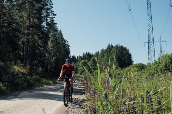 Farawayistan riding a gravel road through Swedish nature with wildflowers