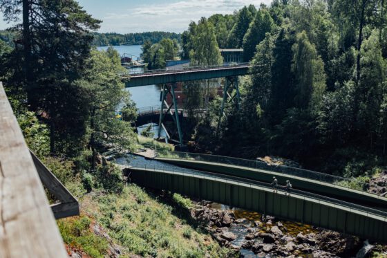 Overview of the Dalsland Kanal in summer, with forested shores, calm water, and connected lakes