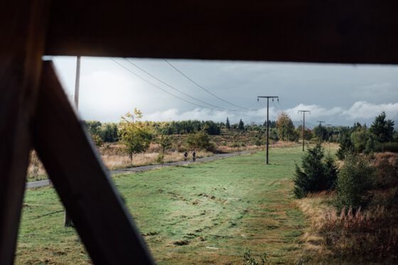 Two cyclists ride along power lines through green meadows in the Harz Mountains.