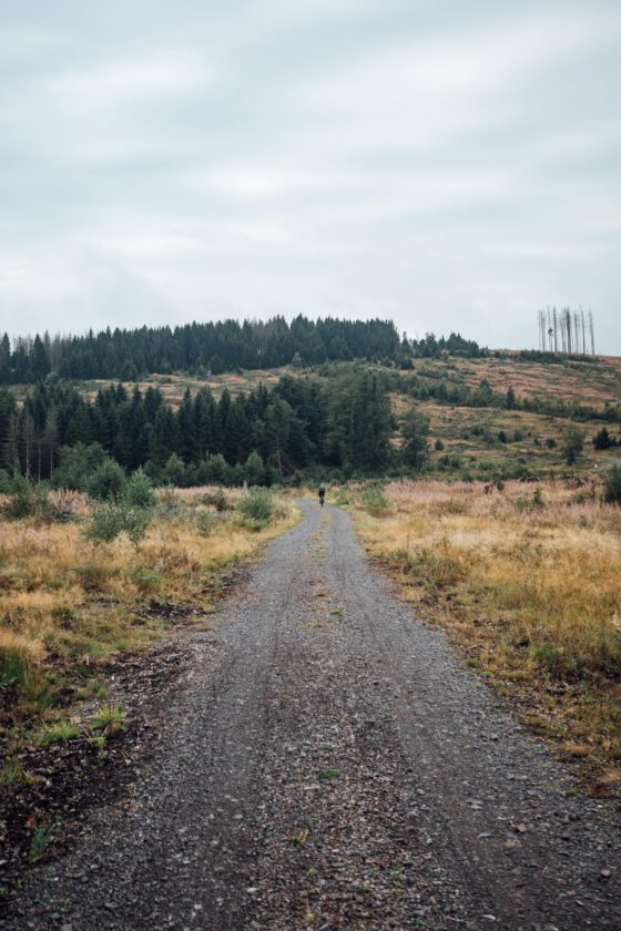 Lone cyclist on a winding gravel road through open forest in the Harz Mountains.