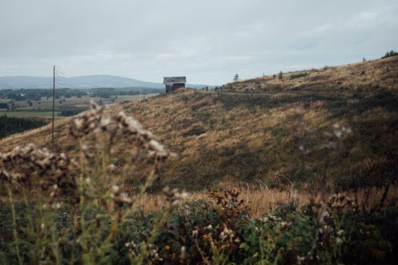 Cyclists riding along a hillside trail past an old wooden hut in the Harz Mountains.