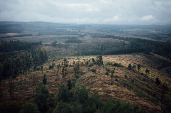 Rolling hills and misty forest landscape seen from above in the Harz Mountains, Germany.