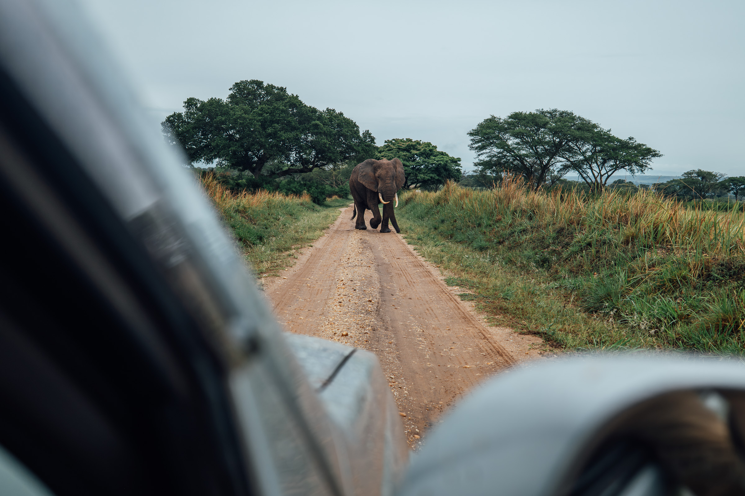 Rwanda & Uganda Road Trip – Game Drives, Rooftop Camping & Unexpected Adventures